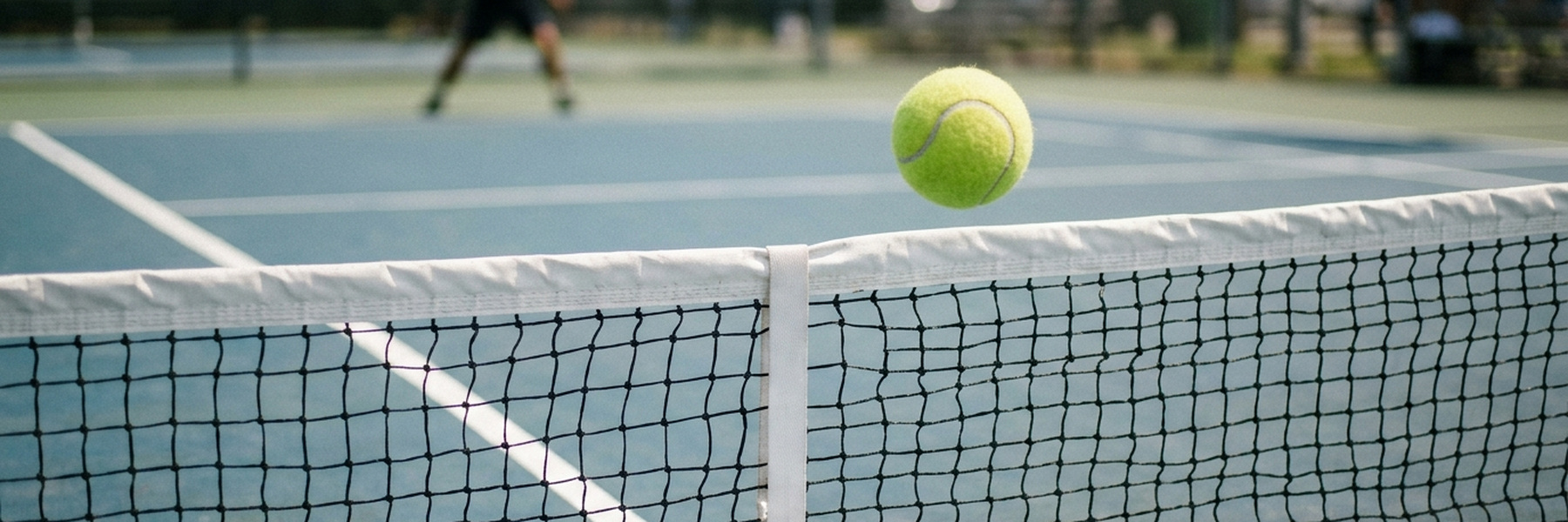 Lees-McRae College Men's Tennis vs Barton Tournament