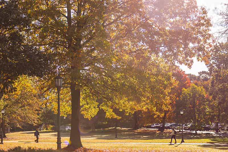 Wellness Event: RECHARGE: The Pop-Up Energy Lab