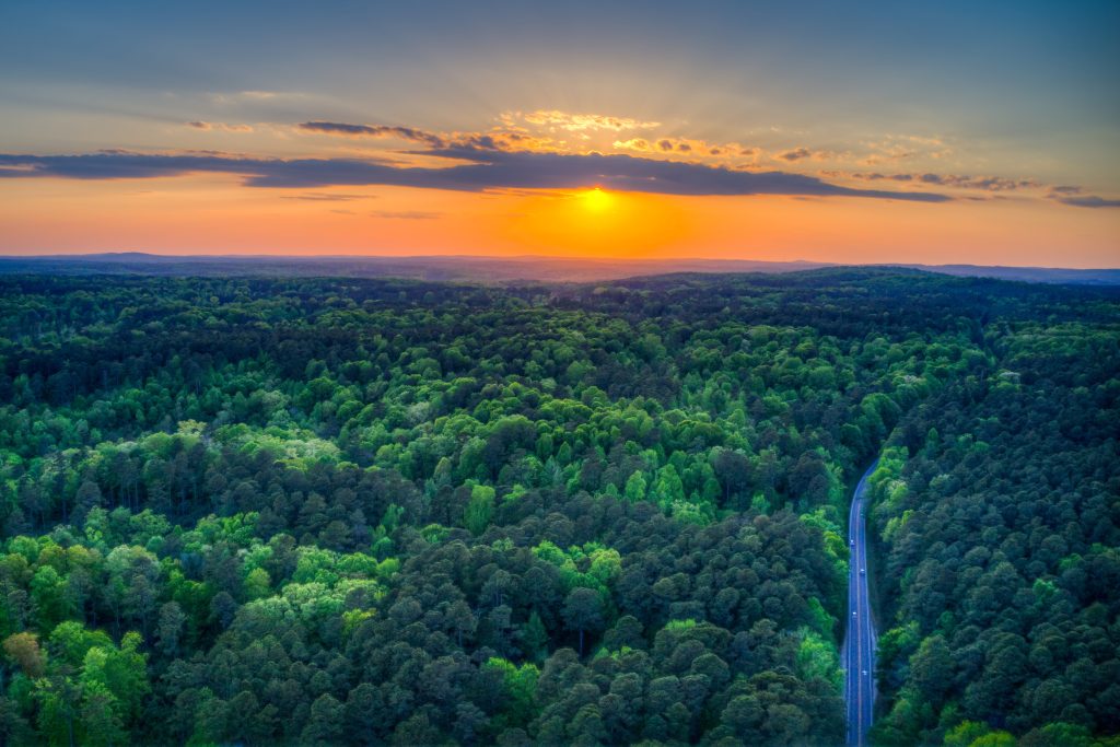 Duke Forest’s 2026 Annual Gathering
