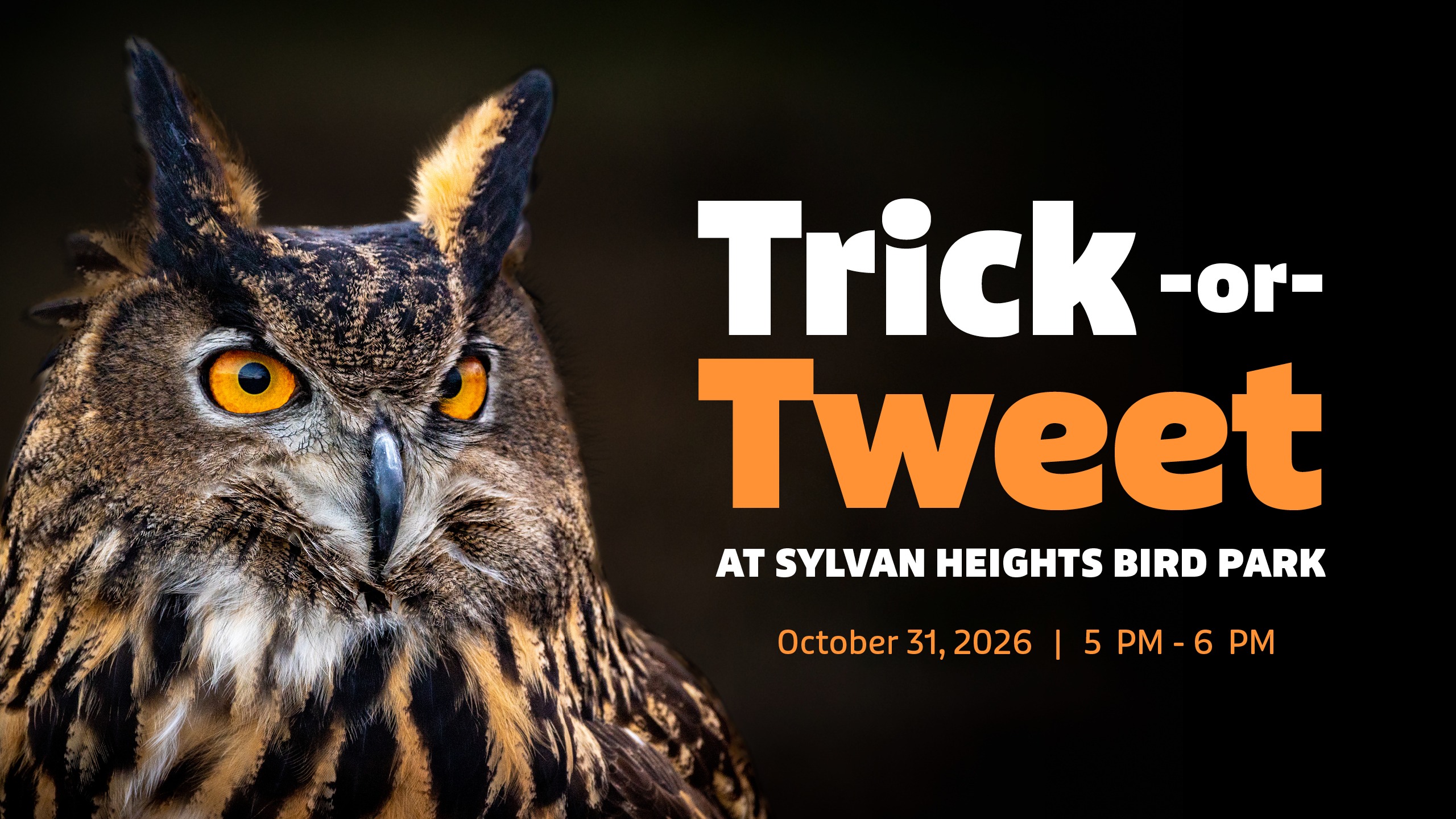 Trick-or-Tweet