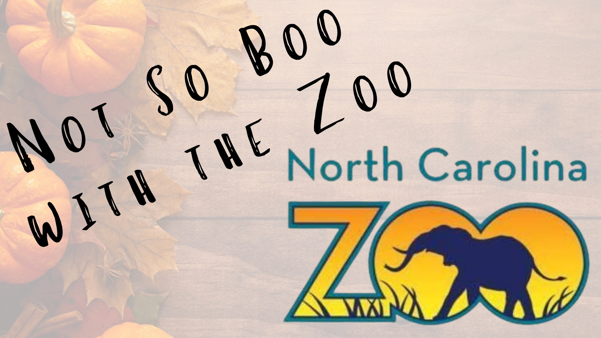 Not So Boo with the Zoo! - Dunn