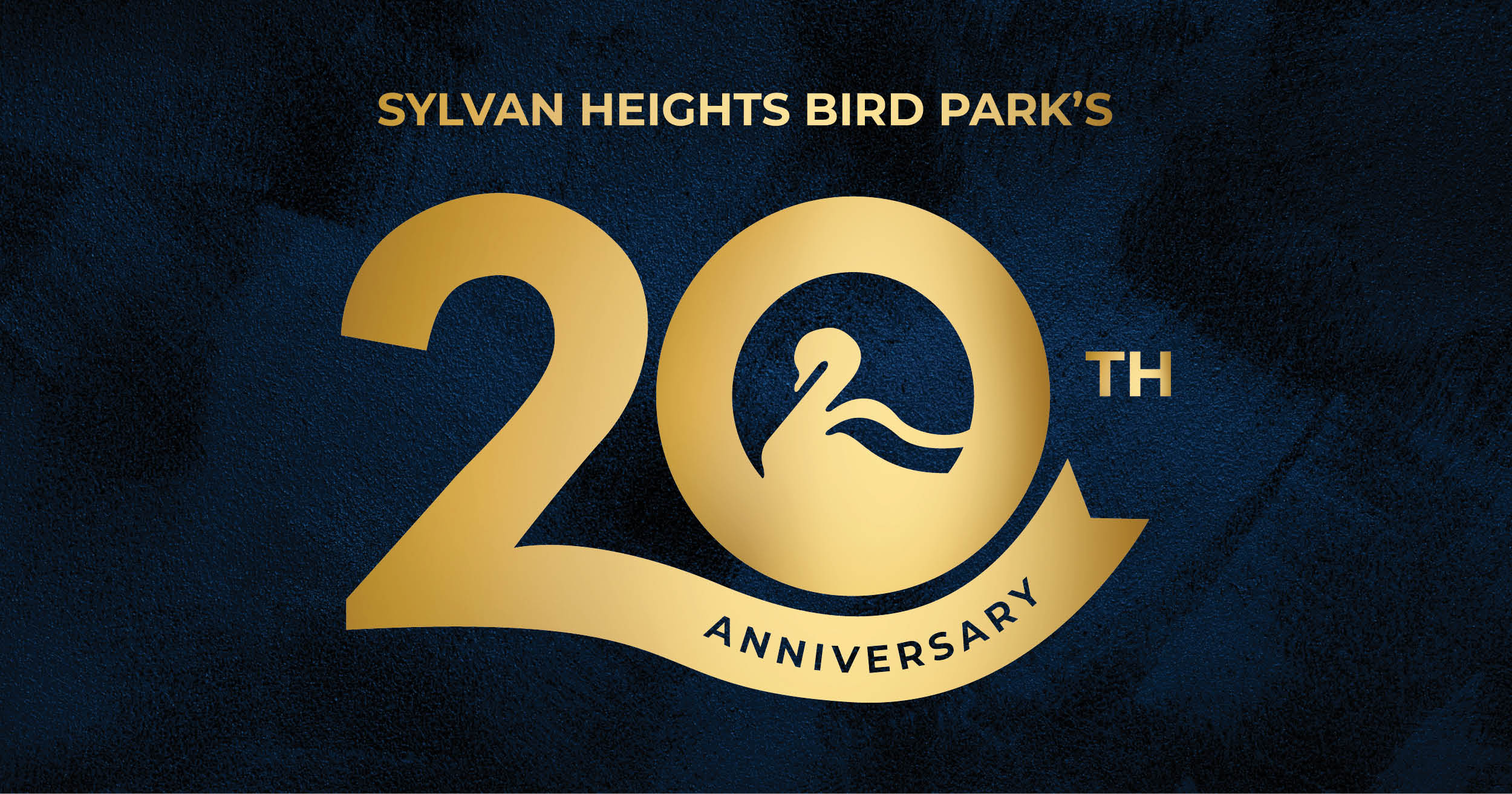 20th Anniversary Celebration