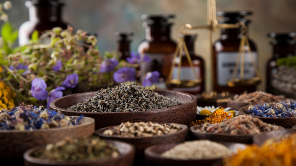 Rooted & Regulated: Adaptogens and Herbal Allies for Blood Sugar, Stress & Nervous System Balance