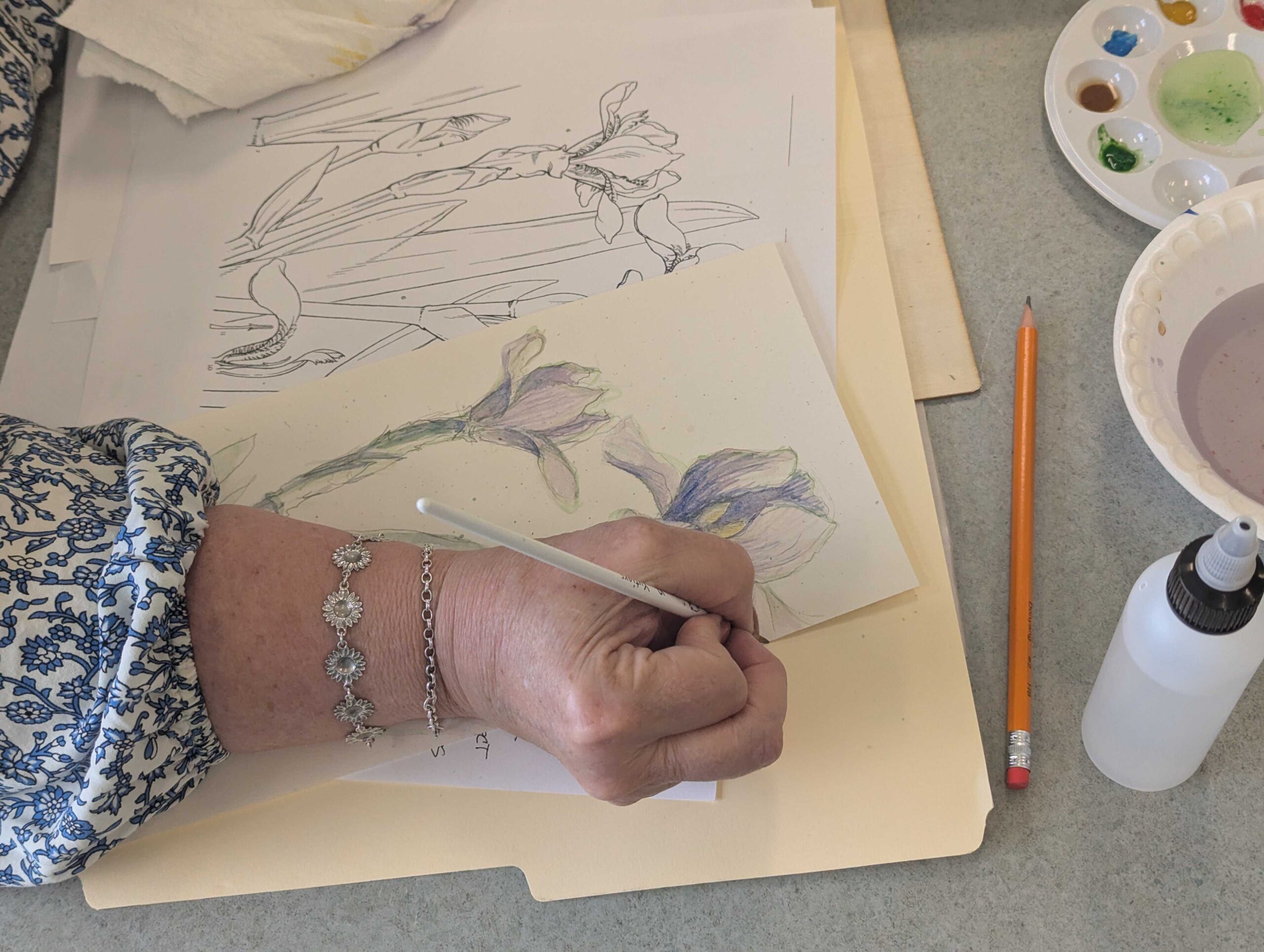 Botanical Drawing for Beginners (4-sessions)