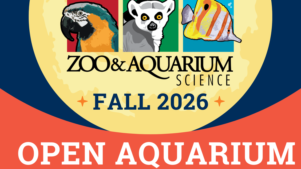 Open Aquarium