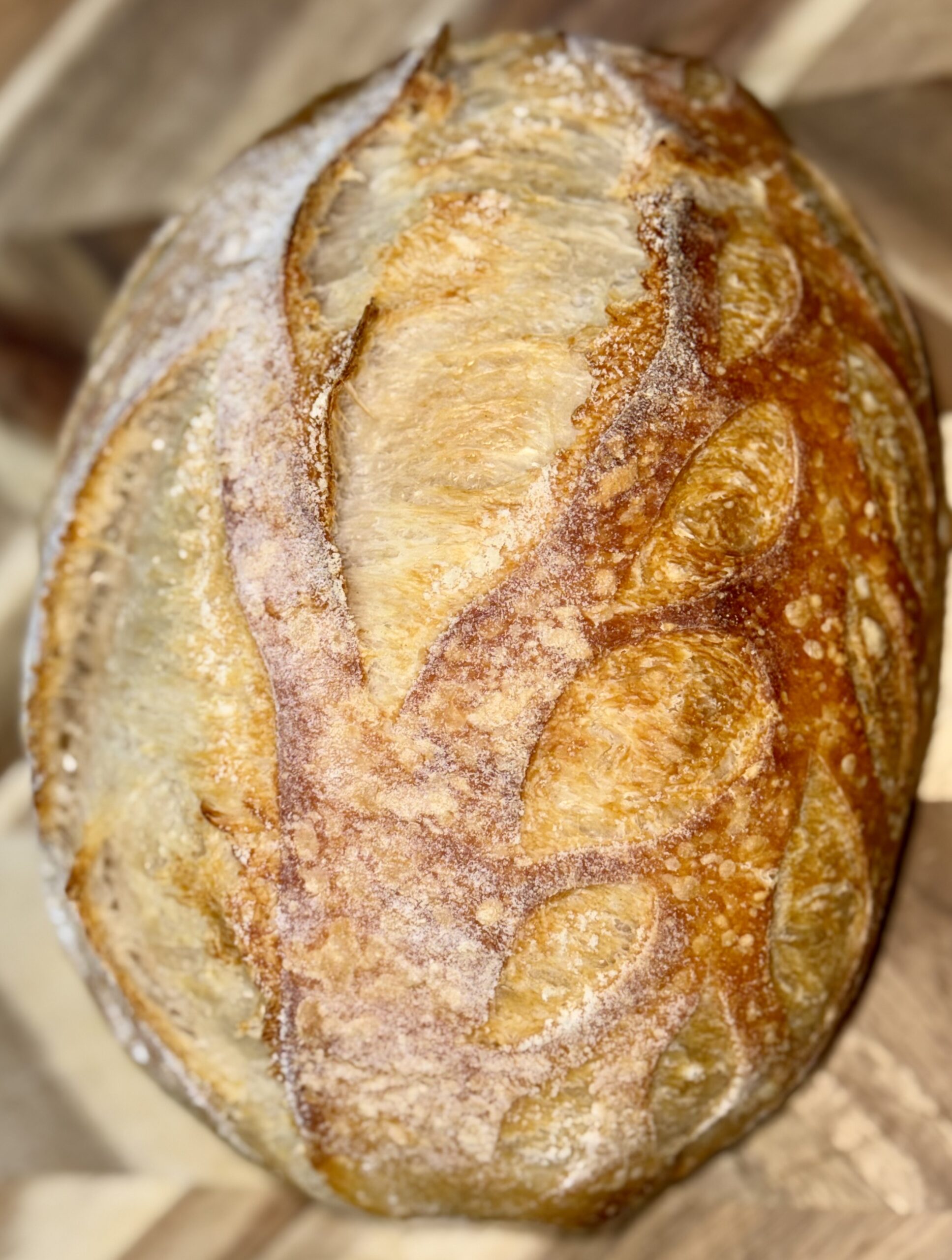 Sourdough Bread Class