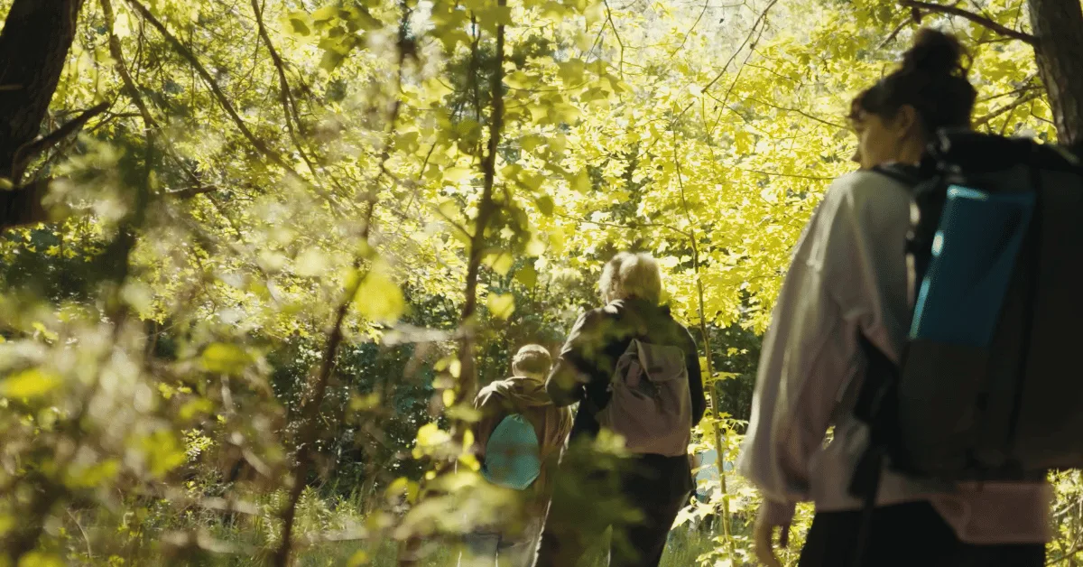 Forest Bathing