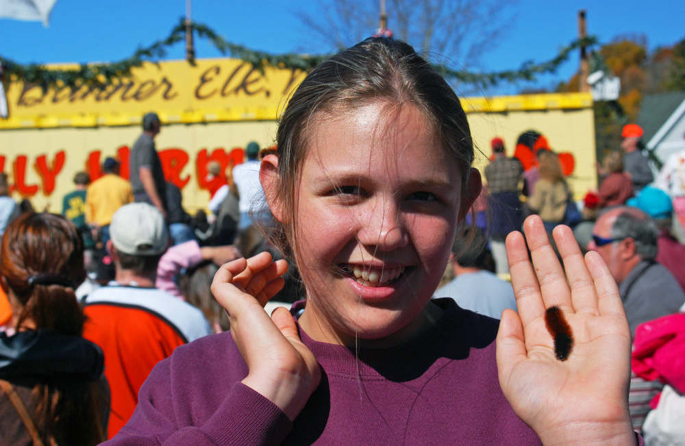 Woolly Worm Festival