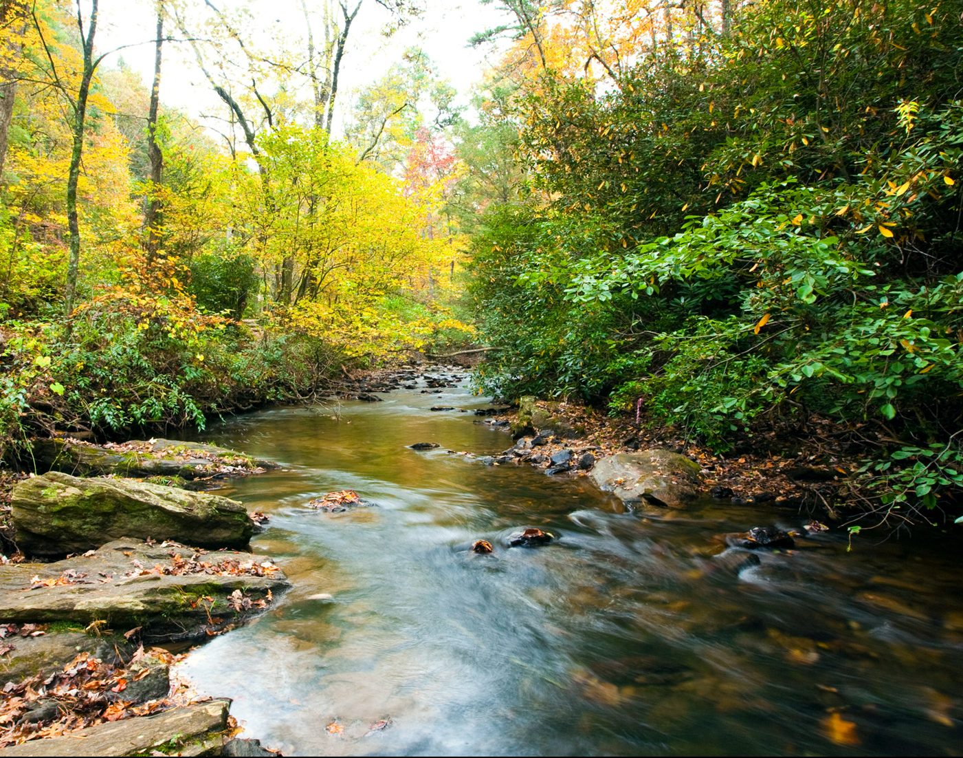 River Systems Field Class