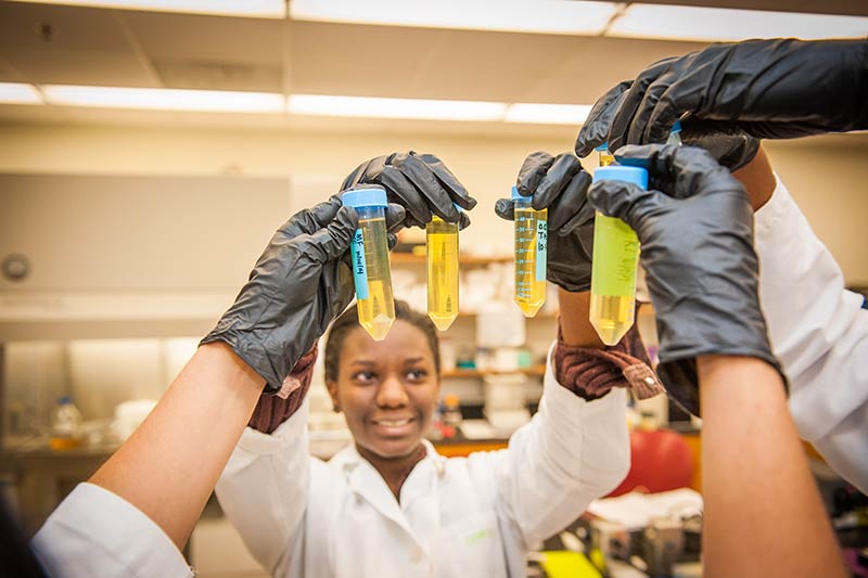 Master of Arts in Biomedical Sciences Virtual Info Session