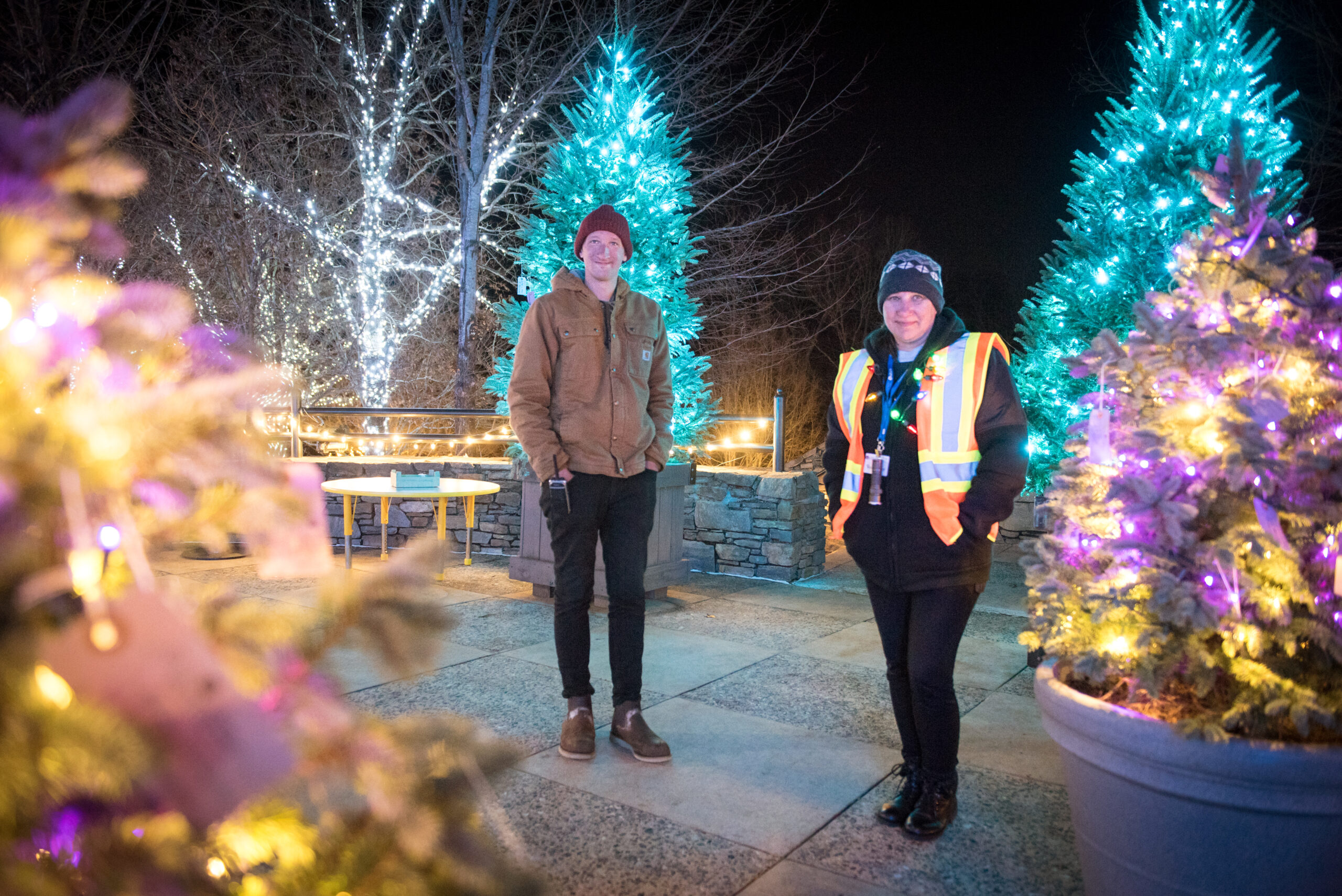 Winter Lights Job Fair